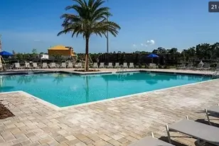 11124 Longleaf Woods Dr, Orlando, FL 32832 - Photo 17