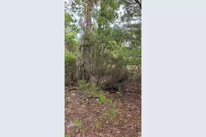 102 B Street, Interlachen, FL 32148 - Photo 3