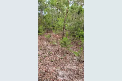 102 B Street, Interlachen, FL 32148 - Photo 1