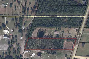 6286 Cr-315, Keystone Heights, FL 32656 - Photo 1