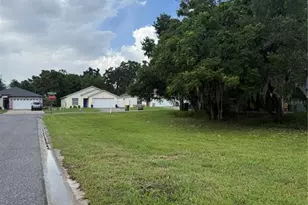 Magnolia St, Leesburg, FL 34748 - Photo 1