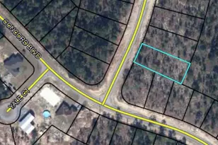 Tbd Carey Blvd, Chipley, FL 32428 - Photo 1