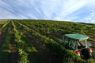 897 Carmillion Ct, Groveland, FL 34736 - Photo 61