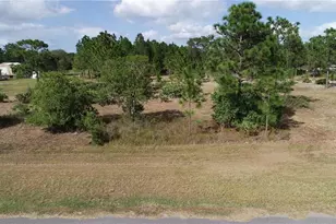 19353 Reynolds Pkwy, Orlando, FL 32833 - Photo 1