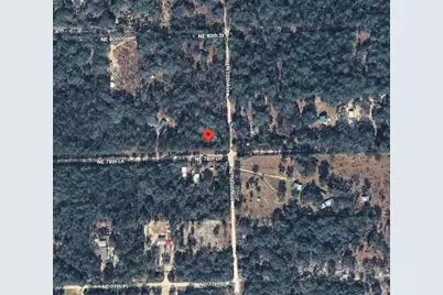 10995 NE 78 Lane, Bronson, FL 32621 - Photo 7