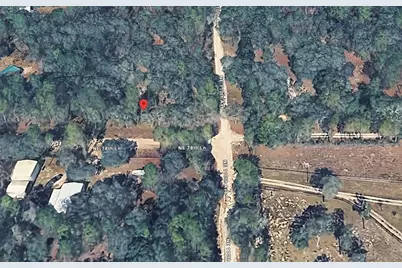 10995 NE 78 Lane, Bronson, FL 32621 - Photo 3