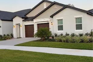 16890 Forge Surf St, Land O Lakes, FL 34638 - Photo 1