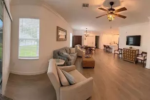 16890 Forge Surf St, Land O Lakes, FL 34638 - Photo 5