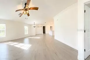 16890 Forge Surf St, Land O Lakes, FL 34638 - Photo 5