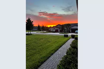 16890 Forge Surf Street, Land O Lakes, FL 34638 - Photo 3