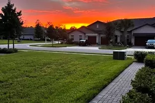 16890 Forge Surf St, Land O Lakes, FL 34638 - Photo 3