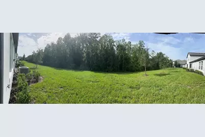 16890 Forge Surf Street, Land O Lakes, FL 34638 - Photo 21