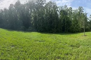16890 Forge Surf St, Land O Lakes, FL 34638 - Photo 21