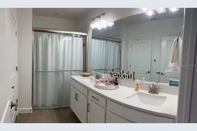 16890 Forge Surf Street, Land O Lakes, FL 34638 - Photo 13