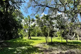 194 E 11th St, Apopka, FL 32703 - Photo 1