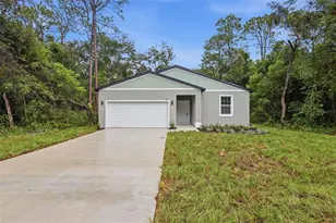 25115 Quaker Ridge Ave, Mount Plymouth, FL 32776 - Photo 1