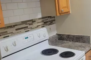 10561 Villa View Cir, Tampa, FL 33647 - Photo 11