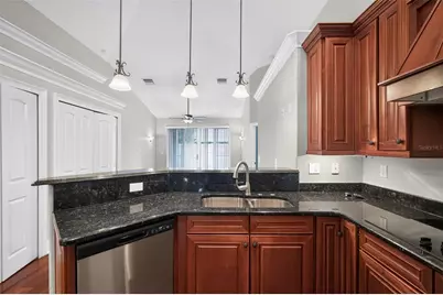 13548 Mere View Drive, Odessa, FL 33556 - Photo 7