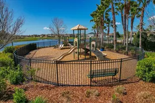 13222 Moss Grass Way, Riverview, FL 33579 - Photo 47