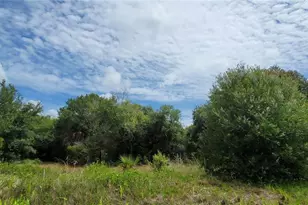 NW 268th Street Lot N, Okeechobee, FL 34972 - Photo 1