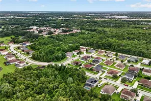 356 Black Springs Ln, Winter Garden, FL 34787 - Photo 35