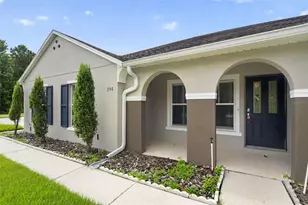 356 Black Springs Ln, Winter Garden, FL 34787 - Photo 43