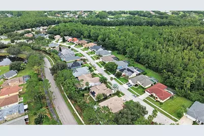 12516 Leatherleaf Drive, Tampa, FL 33626 - Photo 27