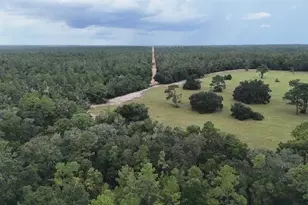 29160 SE 150th St, Altoona, FL 32702 - Photo 7