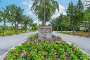 14216 Lambert Bridge Ln, Lithia, FL 33547 - Photo 79