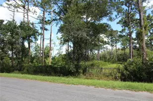 Dolphin Circle, Orlando, FL 32833 - Photo 9