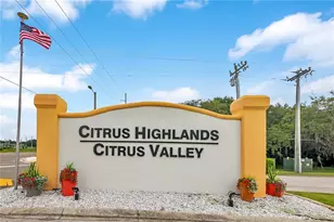2451 Citrus Tree Rd, Clermont, FL 34714 - Photo 31