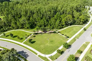 17782 Blazing Star Cir, Clermont, FL 34714 - Photo 29