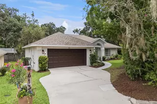 613 Huron Pl, Mount Dora, FL 32757 - Photo 3