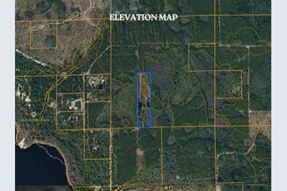 Boy Scout Camp Road, New Smyrna Beach, FL 32168 - Photo 9