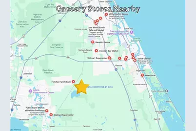 Boy Scout Camp Road, New Smyrna Beach, FL 32168 - Photo 13