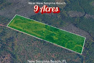 Boy Scout Camp Rd, New Smyrna Beach, FL 32168 - Photo 1