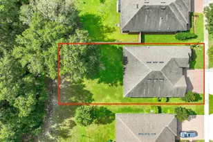 31920 Geoff Wy, Sorrento, FL 32776 - Photo 53