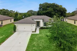 35669 Rose Moss Ave, Leesburg, FL 34788 - Photo 27