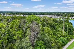 5012 Blue Hammock Ct, Kissimmee, FL 34746 - Photo 31
