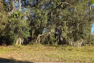 3009 Parma Dr, Deltona, FL 32738 - Photo 1