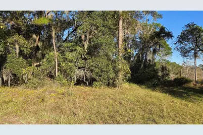 3009 Parma Drive, Deltona, FL 32738 - Photo 3