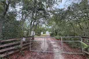 23180 NE 156th Ct, Fort Mc Coy, FL 32134 - Photo 3