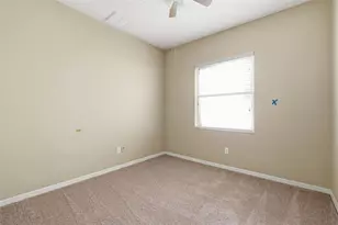 30718 Pumpkin Ridge Dr, Wesley Chapel, FL 33543 - Photo 21