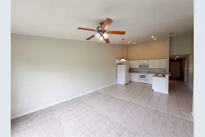 37209 Grassy Hill Lane, Dade City, FL 33525 - Photo 3