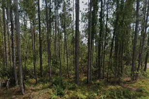6450 Merrick Dr, Sebring, FL 33872 - Photo 1