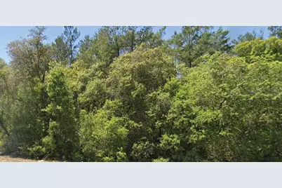 0 SE 309 Avenue, Altoona, FL 32702 - Photo 1