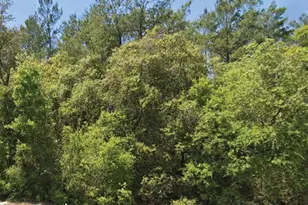 0 SE 309 Ave, Altoona, FL 32702 - Photo 1