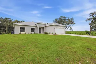 121 S Canoe Creek Rd, Kenansville, FL 34739 - Photo 5