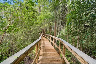 21105 Lake Vienna Drive, Land O Lakes, FL 34638 - Photo 85