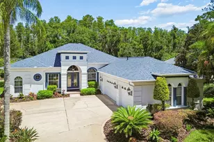 21105 Lake Vienna Dr, Land O Lakes, FL 34638 - Photo 1